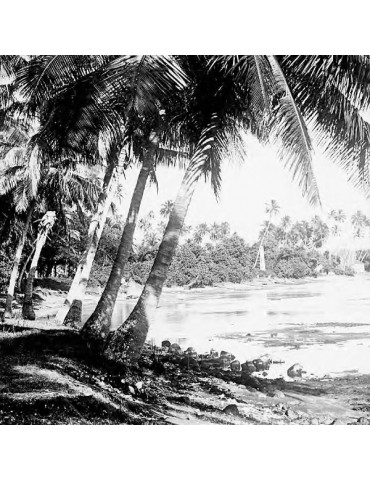Gold of the islands