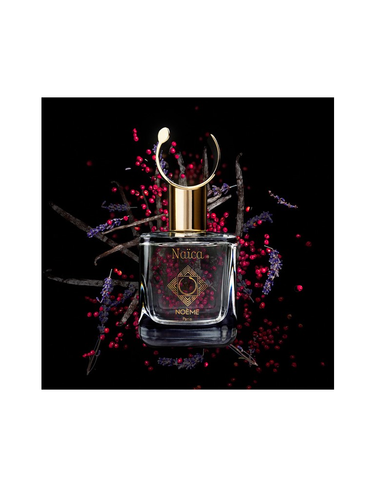 Naica (Advent Calendar Day 8 Promotion Price) Extended Offer