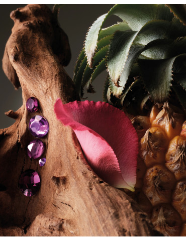 BDK Parfums Oud Paradisio Absolu Extrait de Parfum