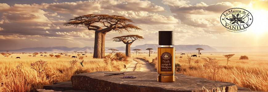 Fragrances